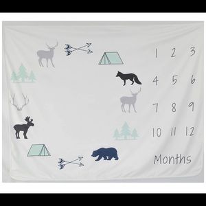 Boy Milestone Blanket